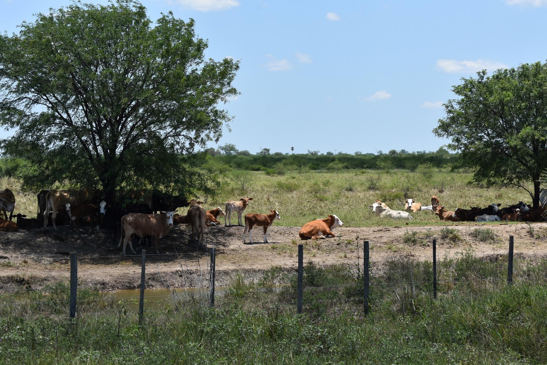 Advancing sustainable & inclusive development in the Paraguayan Chaco with a jurisdictional approach
