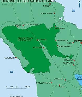 Update from the field